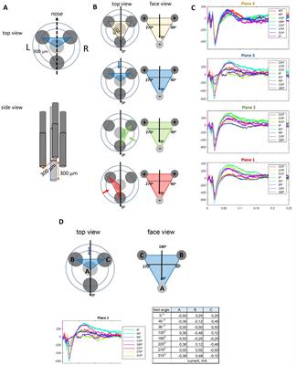 Orientation selective stimulation with tetrahedral electrodes of the rat infralimbic cortex to indirectly target the amygdala